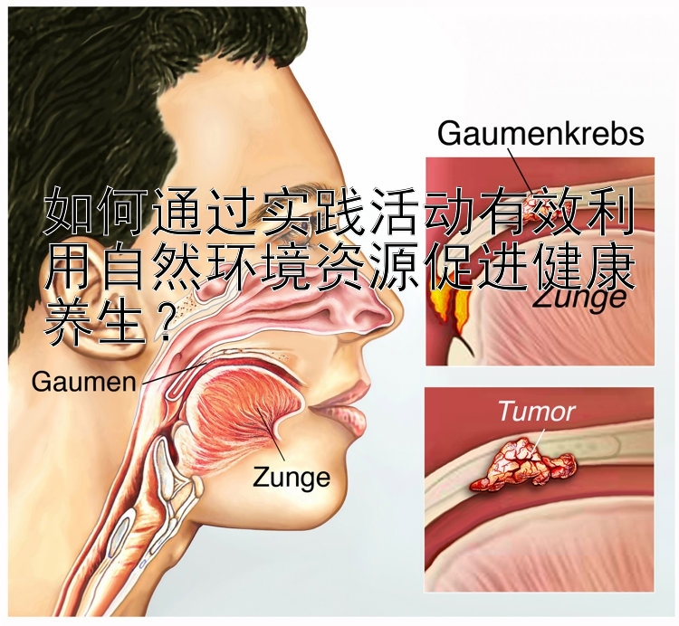 如何通过实践活动有效利用自然环境资源促进健康养生？